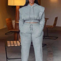 Znaiml Gray Outfit Women Sport Two 2 Piece Winter Sweatshirt Hoodies Tops and Wide…