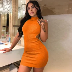Women Sexy High Neck Halter Mini Dress Sleeveless Cutout Waist Ribbed Bodycon…
