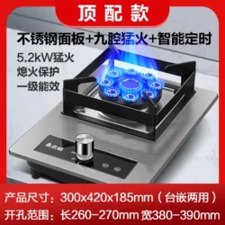 Chigo Gas Stove Single Burner Built in Desktop Natural Gas LPG Energy Saving…